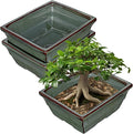 Set of 2 Large Green Glazed Ceramic Bonsai Pots, 10" Rectangular Bonsai Planters Pots with Drainage Hole for Indoor/Outdoor Plants, Bonzie Tree Pot for Succulents, Cacti, Orchids, Herbs, Spider Plants