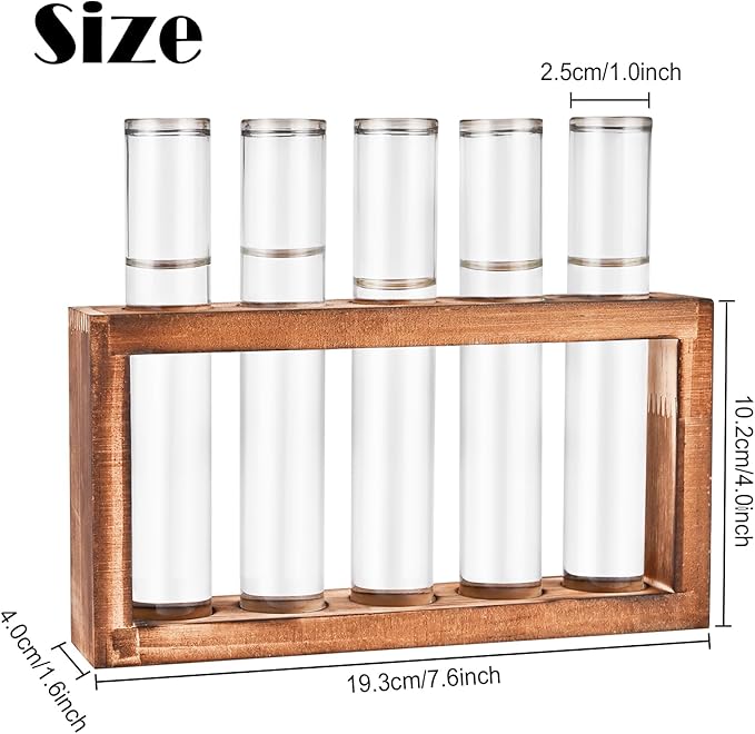 Tigvio Desktop Glass Plant Propagation Station with 5 Test Tubes in Wooden Stand - Hydroponic Plants Cutting Office Home Decoration and Garden Decor Terrarium (5 Tubes)