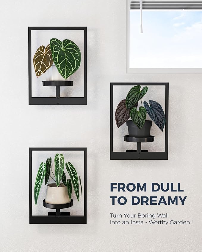 Bamworld Hanging Planters for Indoor Plants Wall Decor Living Room Plant Stand Indoor Wall Planters Plant Hanger Window Plant Shelves 3 Pack for Outdoor Entryway