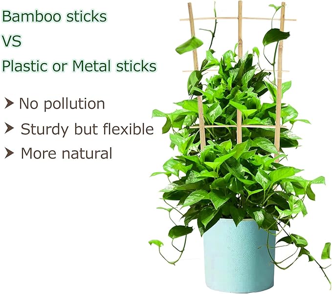 Cambaverd Plant Trellis Indoor, 3 Pack Bamboo Trellises, 16in Fan-Shaped Trellis for Potted Plants Climbing Plants Hoya Vine Ivy