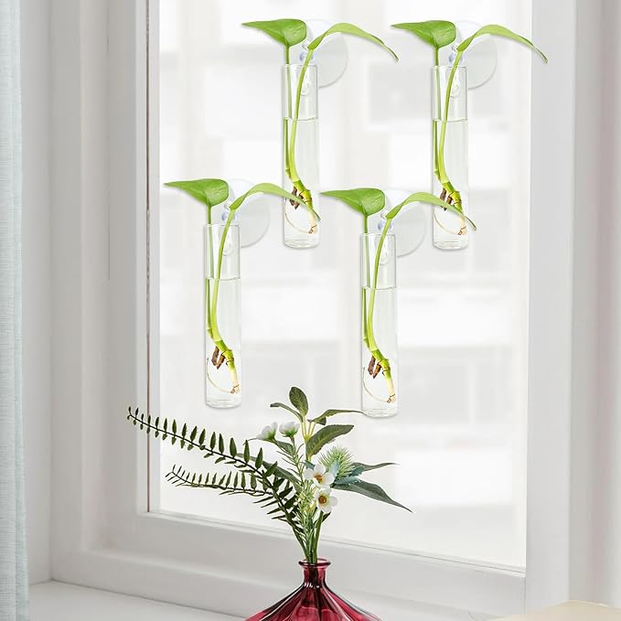 4PCS Wall Hanging Planter Propagation Stations, Plant Tube with Suction Cup Hook, Test Tube Propagation Station Wall Clear Plant Vase No Nails with Bottle Brush Flower Plant Terrarium