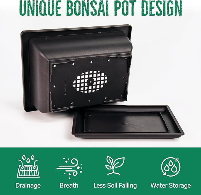 Bonsai Starter Kit – Japanese Bonsai Tree Kit 7 Seeds Pots – Complete Grow Your Own – Plant Lover Gifts Home Gifts for Men and Women