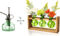 XXXFLOWER Glass Plant Mister Spray+3 Bulb Glass Propagation Station