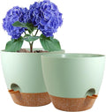 WSMKSZ 8 inch Self Watering Pots, 2 Pack Plastic Planters with Mesh Drainage Holes for Garden Plants and Flower, Plants Pots with Deep Reservoir for Indoor Outdoor Plants, Green with Brown