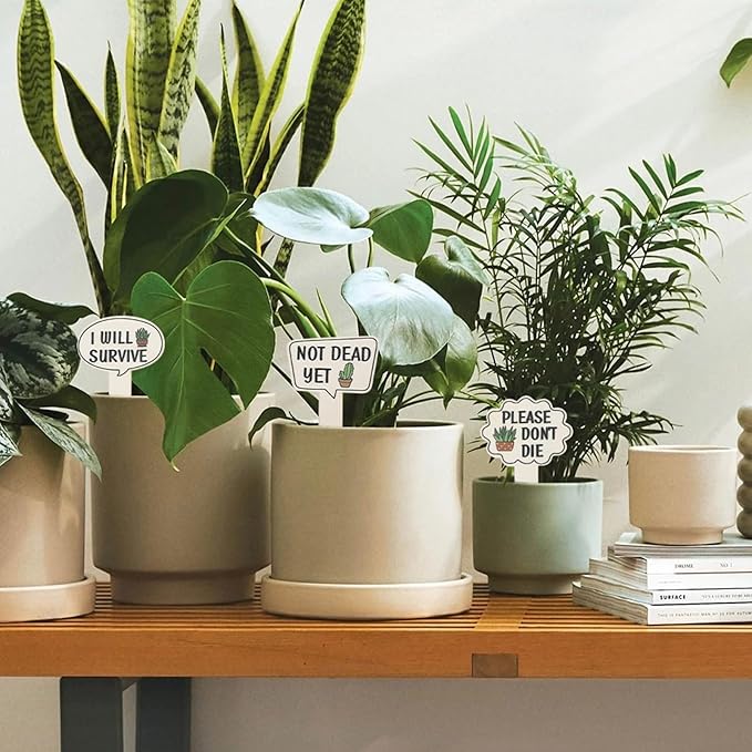 15Pcs Wooden Plant Signs, Funny Garden Plant Markers, Cute Patterns Interesting Words Labels with Stake for Indoor Outdoor Patio Decorative Plants Stakes Garden Tags