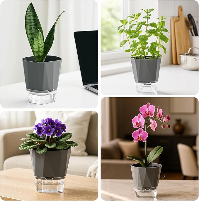 6 Pack Self Watering Pots for Indoor Plants, 5 Inches Self Watering Planters African Violet Self Watering Clear Pots for Plants Herb Orchid Flower Houseplant, Dark Grey