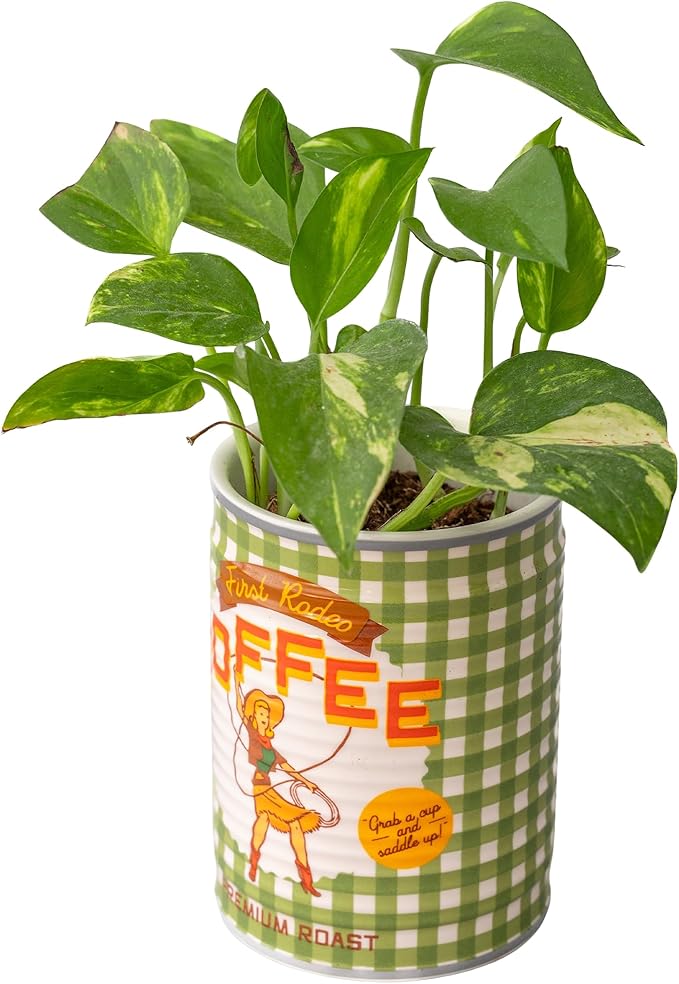 ban.do Novelty Ceramic Planter with Drainage Hole, Decorative Plant Pot, Planters for Indoor Plants, Cute Decor, Unique Planter, Coffee Can