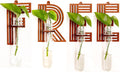 Free Letter Wall Propagation Planters Test Tubes Wall Decor for Hanging Plants Clear Water Plant Vase Brown Wood Upletter Alphabet Functional Art Boho 4 Pack