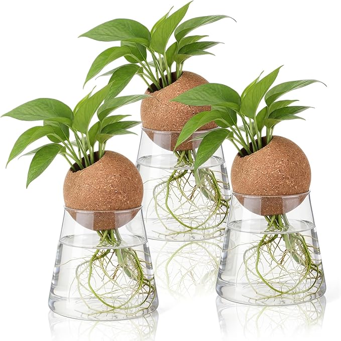 Baderke 3 Pcs Glass Plant Propagation Stations with Spherical Lid Glass Jars Plant Propagation Vases Hydroponic Spherical Cork Planter for Indoor Home Office Desktop Decor(Conical,3.15 Inches)