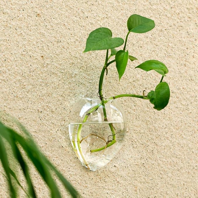 NUPTIO Hanging Planter Wall Terrarium: Glass Plant Holder 4 PCS Water Planting Vases Succulents Container Hydroponics Pots Clear Propagation Station Airplant Display for Office Home Living Room Gifts