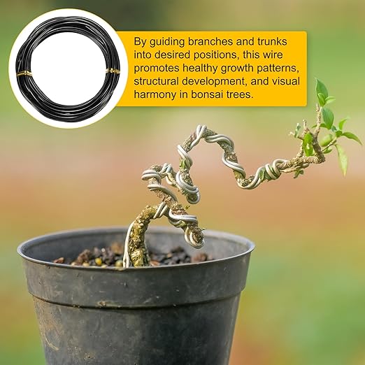 M METERXITY 3mm Bonsai Training Wire, 16.4 Feet Total Anodized Aluminum Bonsai Wires for Bonsai Tree Shaping/Branches Fixing/Trunk Holding/DIY Crafting [Black]