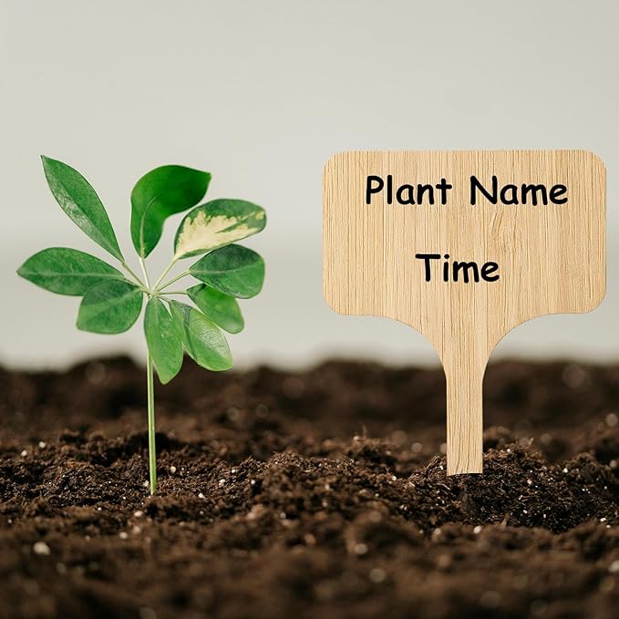 75Pcs Bamboo Plant Labels with 1 Marker Pen, T-Type Natural Seedling Nursery Sign Tags, Wood Garden Markers Decorative Patio Tags for Outdoor Indoor Potted Plants Herbs Flowers Vegetables