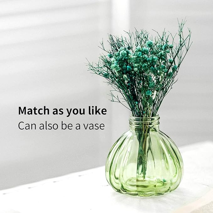 Mr. Glass Water Plant Spray Bottle 6.3 Inch Tall Round Retro Style Pumpkin Shape Moisturizing Atomizer for Plant Fine Mist Cleaning Solution Hairdressing Sprayer Houseplant Red (Green)