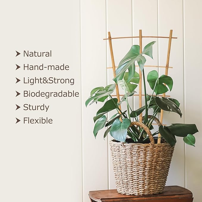 Cambaverd Plant Trellis Indoor, 3 Pack Bamboo Trellises, 16in Fan-Shaped Trellis for Potted Plants Climbing Plants Hoya Vine Ivy