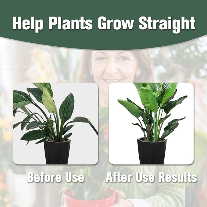 10pcs Adjustable Plant Support Pole, Stackable for Indoorand Outdoor Use, Garden Accessories for Supporting.Monstera and Climbing Potted Plants