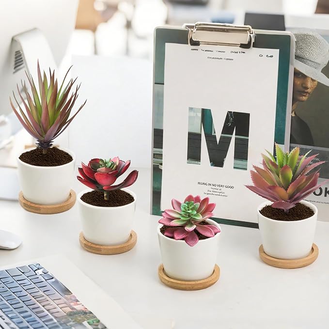 4Pcs Artificial Succulent Plants Set, Realistic Fake Succulents for Home Garden Party Decor Autumn Colored