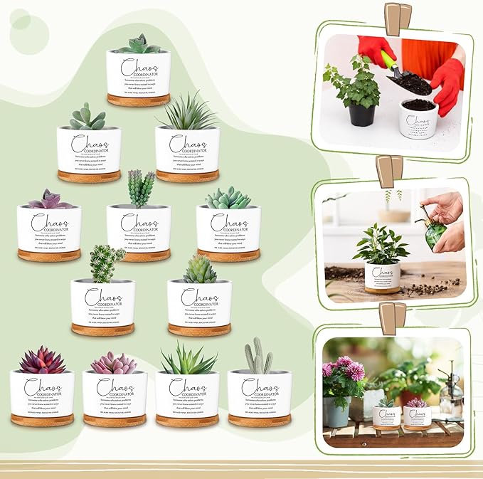 12 Pcs Chaos Coordinator Gifts Succulent Pots Employee Appreciation Gifts Bulk for Women Coworker Teacher Small Ceramic Plant Pots with Bamboo Trays for Office Staff Nurse