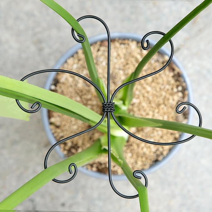Yohsnor Monstera Plant Stem Support Set - 7.5x7.5 Inch Durable Stabilizers for Indoor Climbing Plants and Leaf Holders - Promote Healthy Growth and Stability (5 Pieces)