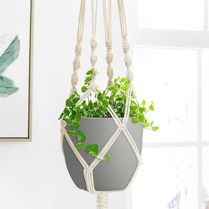 Ferlypote Plant Pots 8 Inch Set of 2, Flower Pots with Multi Mesh Drainage Holes, Planters for Indoor Outdoor Garden Plants and Flowers