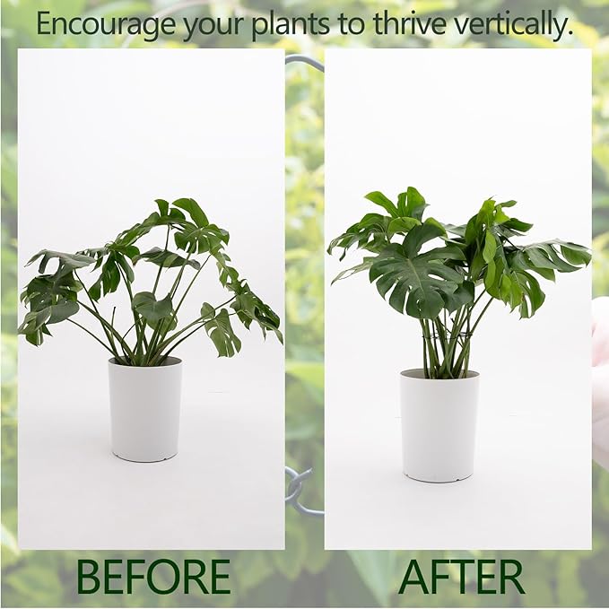 Yohsnor 5PCS Monstera Plant Stem Support - 11 * 9.4 Inches, Durable Metal Stake Holder, Adjustable for Indoor Plant Leaf Support. Gentle Clips for Enhanced Stability for Plant Lovers!