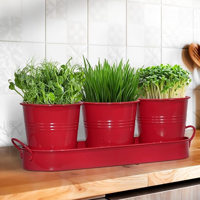 Plexon Herb Planter Indoor Garden Set of 3 with Tray, Metal Herb Pots for Indoor Plants, Round Kitchen Garden Kit Ideal for Windowsill Planter or Countertop, Red Powder Coated