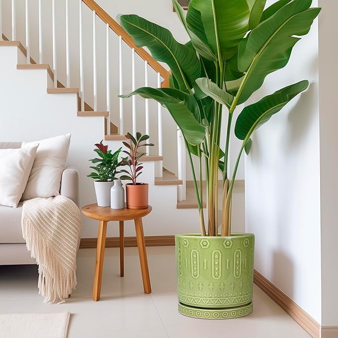 Eightpot Ceramic Planter - 12 Inch Pots for Plants Indoor Outdoor, Round Large Flower Pots with Drainage Hole and Saucer, Decorative Boho Planter, Home Office Decor, Plant Lover Gifts, Green