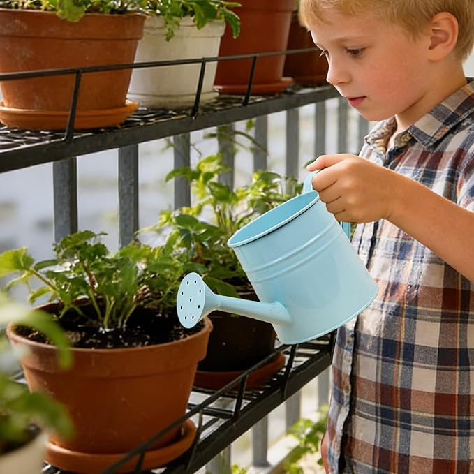 1.6L Watering Can for Indoor Outdoor Plants, Modern Small Watering Cans, Metal Flower Watering Can, Long Spout Watering Can-Colorful Plant Waterer for Indoor Bonsai Plants Garden Flowers (Light Blue)
