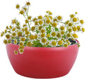 Vencer 11 Inch Plastic Round Self Watering Planter,Water Indicator,Modern Decorative Planter Pot for All House Plants Flowers, Herbs, Vegetables, Tropical,Red,VF-048R