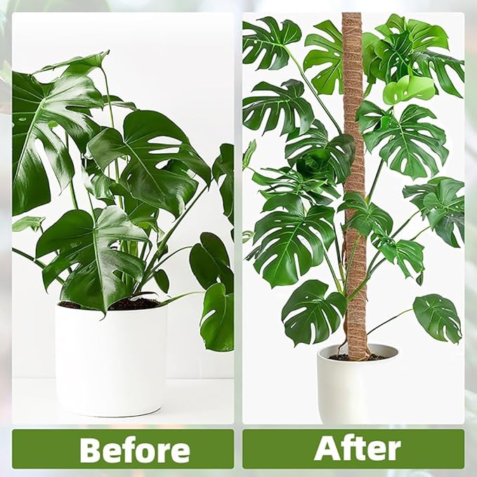 Supoice Moss Pole 63 Inch Moss pole Monstera Plant Support Bendable Moss Pole for Climbing Plants Indoor Coir Plant Pole Sticks, Brown