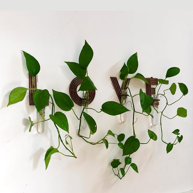 Love Wooden Letter Wall Propagation Station Set Lightweight Decorative Plant Holder for Small Cuttings, Removable Wall Decor Gift 4 Pack
