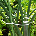 Yohsnor White Monstera Plant Stem Support - 5PCS 7.3x6.25in Durable Adjustable Garden Stake for Indoor Plants, Fishbone Cactus Holder, Innovative Leaf Clip Set, Ideal Tool for Healthy Plant Growth