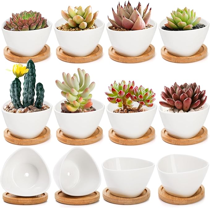 Foraineam 12 Pack Mini Succulent Planter Pots, Small Ceramic Cactus Planters White Plant Flower Pots with Bamboo Tray for Herbs, Seeds, Beans, Cacti, Succulents
