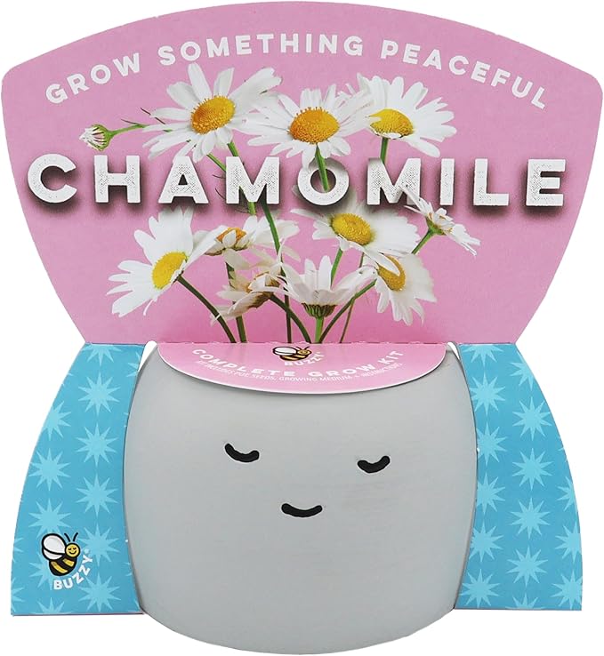 BUZZY Seeds Peaceful Face Planter Grow Kit, 3-Pack – Aloe, Moss Rose & Chamomile Seed Starter Pots with Growing Medium, Cute Decorative Face Pots, Indoor Gardening Gift Set
