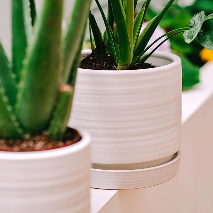 HERDUK 6 + 8 Inch Plant Pots, Ceramic Planter Pot with Drainage Hole & Saucer, Indoor/Outdoor Cylinder Round Planter Pot, Matte White