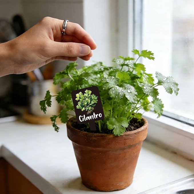 Whaline 12Pcs Herb Plant Label Signs 12 Styles Garden Herb Markers Thickened Waterproof Acrylic Plant Stake Tags with Names for Nursery Indoor Outdoor Garden Decor