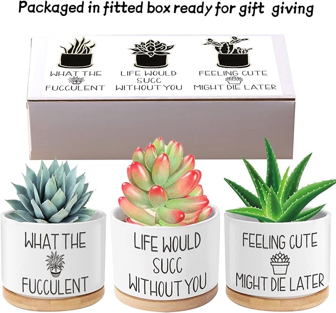 Funny Plant Pots, 3.15 inch Ceramic Flower Succulent Pots with Drainage Holes and Saucers, Cute Cactus Planters for Indoor Plants, Birthday Gifts for Women, Pack of 3 - Plants Not Included