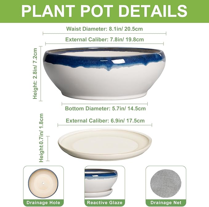 SQOWL Bonsai Pots Ceramic - 8 Inch Succulent Planters Indoor, Succulent Pot with Drainage Hole and Tray, Shallow Ceramic Plant Pot, Round Bowl Planter, Porch Decor, Gardening Gift, Blue Off-White