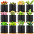 Cindeer 12 Pack Small Succulent Plants Pots 3 Inch Ceramic Flower Planter Pot and Bamboo Tray with Drainage Hole for Succulents Cactus Indoor Garden Decorations, Plant Not Included(Black)