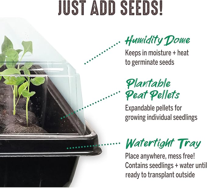 Jiffy Seed Starter Tray Kit - Self-Watering, High Germination Rate, Seedling Tray - 2 Pack, Peat/Plastic