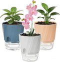KIMCHOMERSE Self Watering Plant Pots 4.7 Inch, 3 Pack Indoor Planters with Drainage Holes & Saucers, Decorative Plastic Flower Pots for House Plants Home Office Decor (White, Pink, Blue)