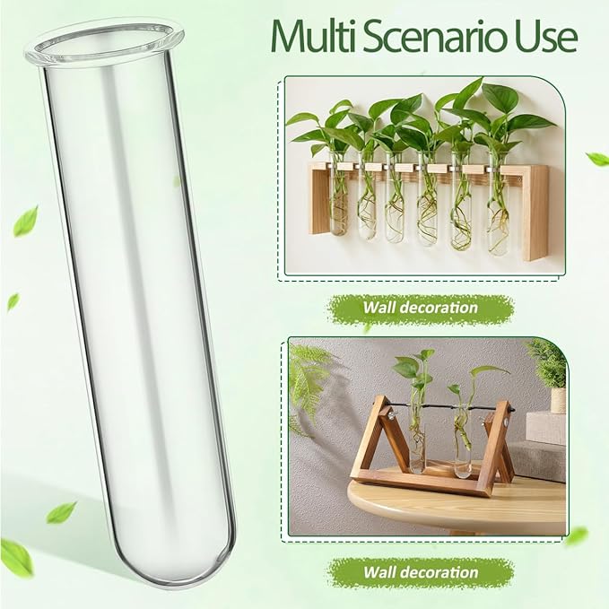 SHINEOFI 5pcs Glass Plant Propagation Tubes Test Tubes for Hydroponic Water Plants Home Office Decor Propagation Stations