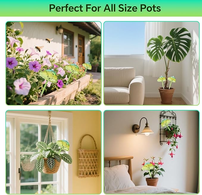 Plant Watering Globes Set of 3 - Large Self Watering Planter Insert for Indoor & Outdoor Plants - Automatic, Glass Watering Bulbs for Daily Use, Plant Watering Devices(Green Rainbow)