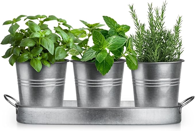 Plexon Herb Planter Indoor Garden Set of 3 with Tray, Metal Herb Pots for Indoor Plants, Round Kitchen Garden Kit Ideal for Windowsill Planter or Countertop, Galvanized Steel