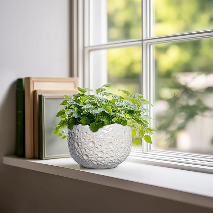 Ceramic Plant Pots 6 Inch - Ceramic Orchid Pot with Drainage Hole and Plug, Unique Pots for Plants Indoor Outdoor, Decorative Modern Planter, Living Room Decor, Plant Lovers Gifts, Grey