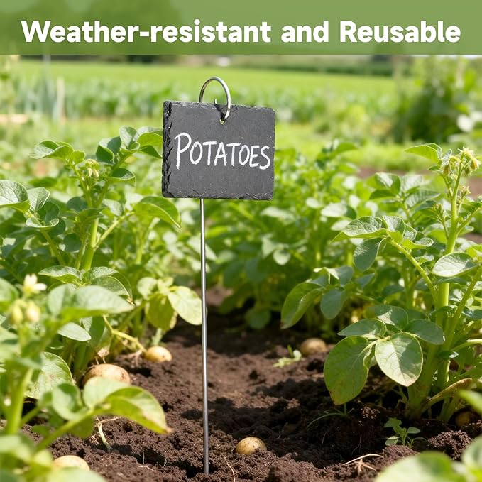 KINGLAKE Large Slate Plant Labels - 10 Pcs Slate Garden Plant Labels Tags with Metal Stakes and Chalk Pencils Tall Garden Plants Markers Signs for Outdoor Plants Vegetables Herb Flower Bed Pots