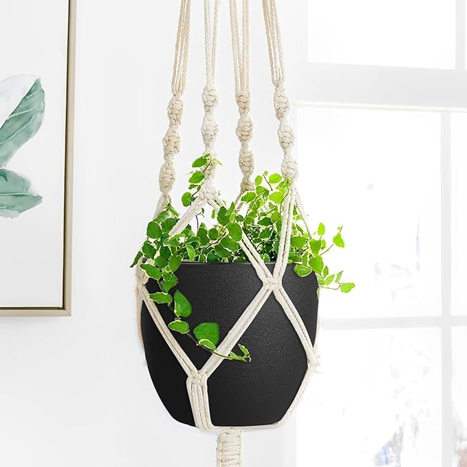 Ferlypote Plant Pots 8 Inch Set of 4, Flower Pots with Multi Mesh Drainage Holes, Planters for Indoor Outdoor Garden Plants and Flowers (Black)