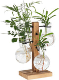 Plant Propagation Station with 4 Glass Vases & Wood Stand, Hydroponic Air Planter for Indoor Plants, Unique Gardening Gift for Women & Plant Lovers, Desktop Terrarium for Home Decor