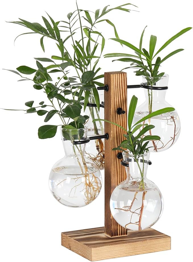 Plant Propagation Station with 4 Glass Vases & Wood Stand, Hydroponic Air Planter for Indoor Plants, Unique Gardening Gift for Women & Plant Lovers, Desktop Terrarium for Home Decor