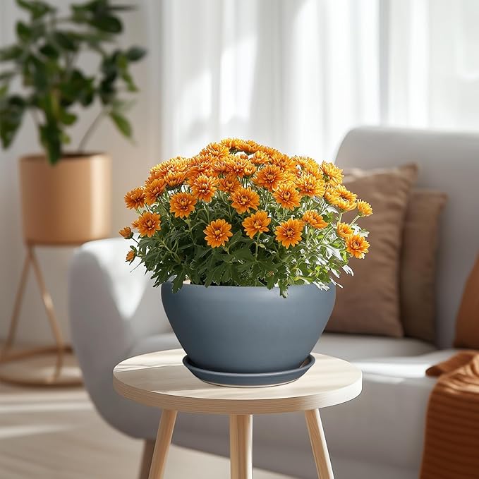 Ceramicfor Ceramic Pots for Plants - 9 Inch Planter for Outdoor Plants Large Plant Pot Indoor with Drainage Hole and Saucer Decorative Modern Flower Pot for Home Garden Decor Gray