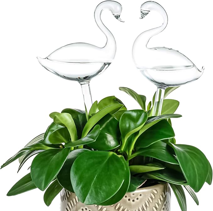 Kingbuy Self Watering Globes Plant Waterer Device Swan Shape Hand Blown Clear Glass Bulb for Indoor Outdoor Plants, 2 Pack